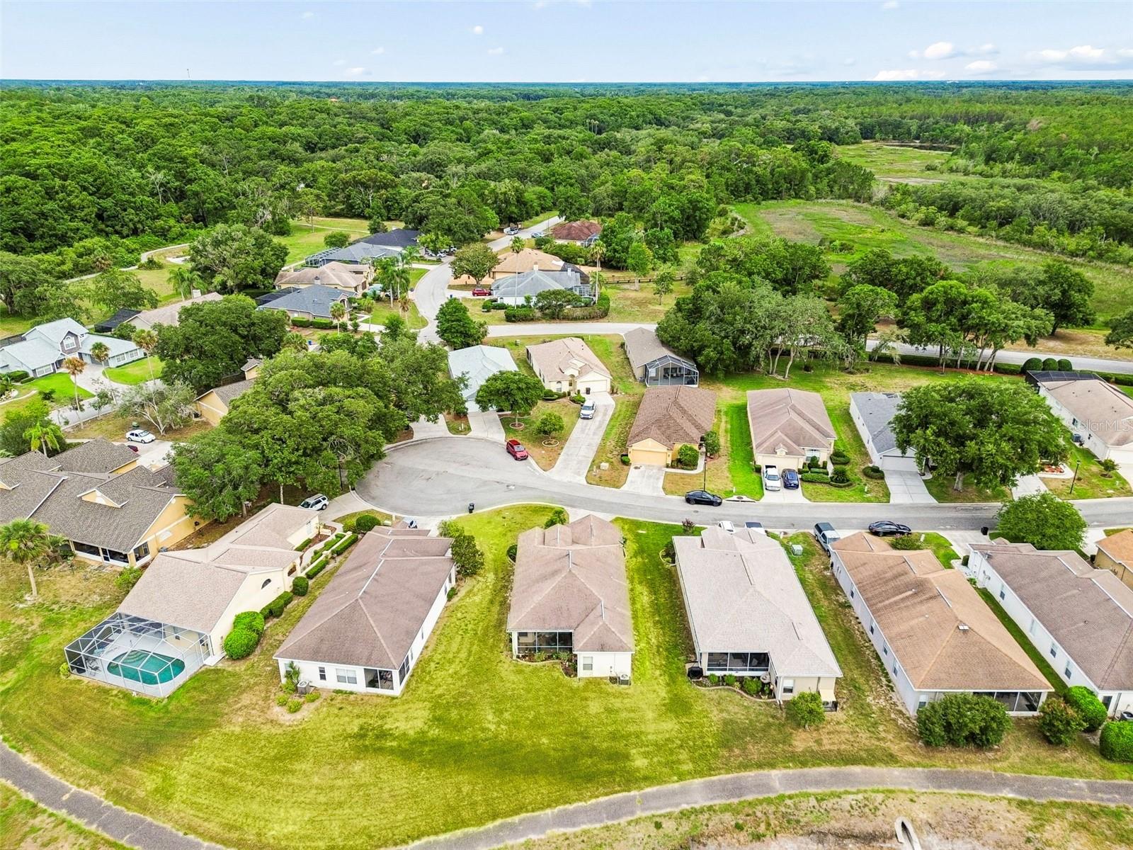 16727 Caracara Court