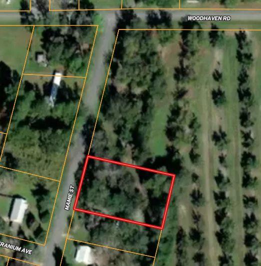Building Lot with Mature Pecan Trees and an old shed.  City Water and Sewer.  (Confirm with City of Coolidge).  Next to established Pecan Orchard.