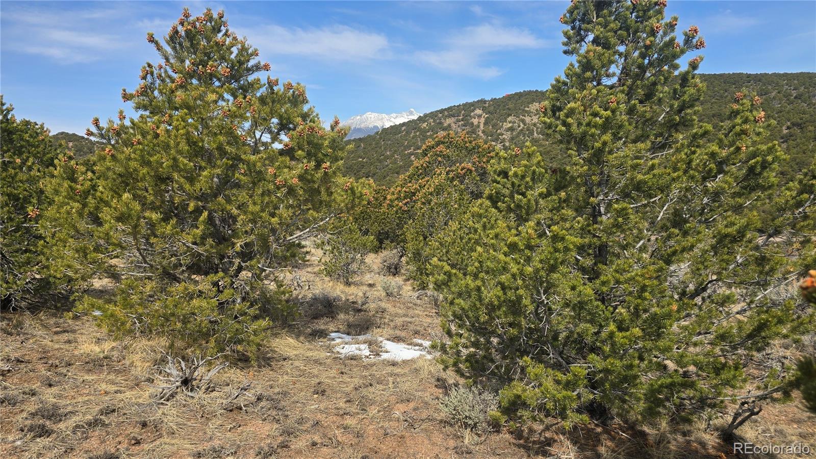 Lot 4536 Sarnoff Road