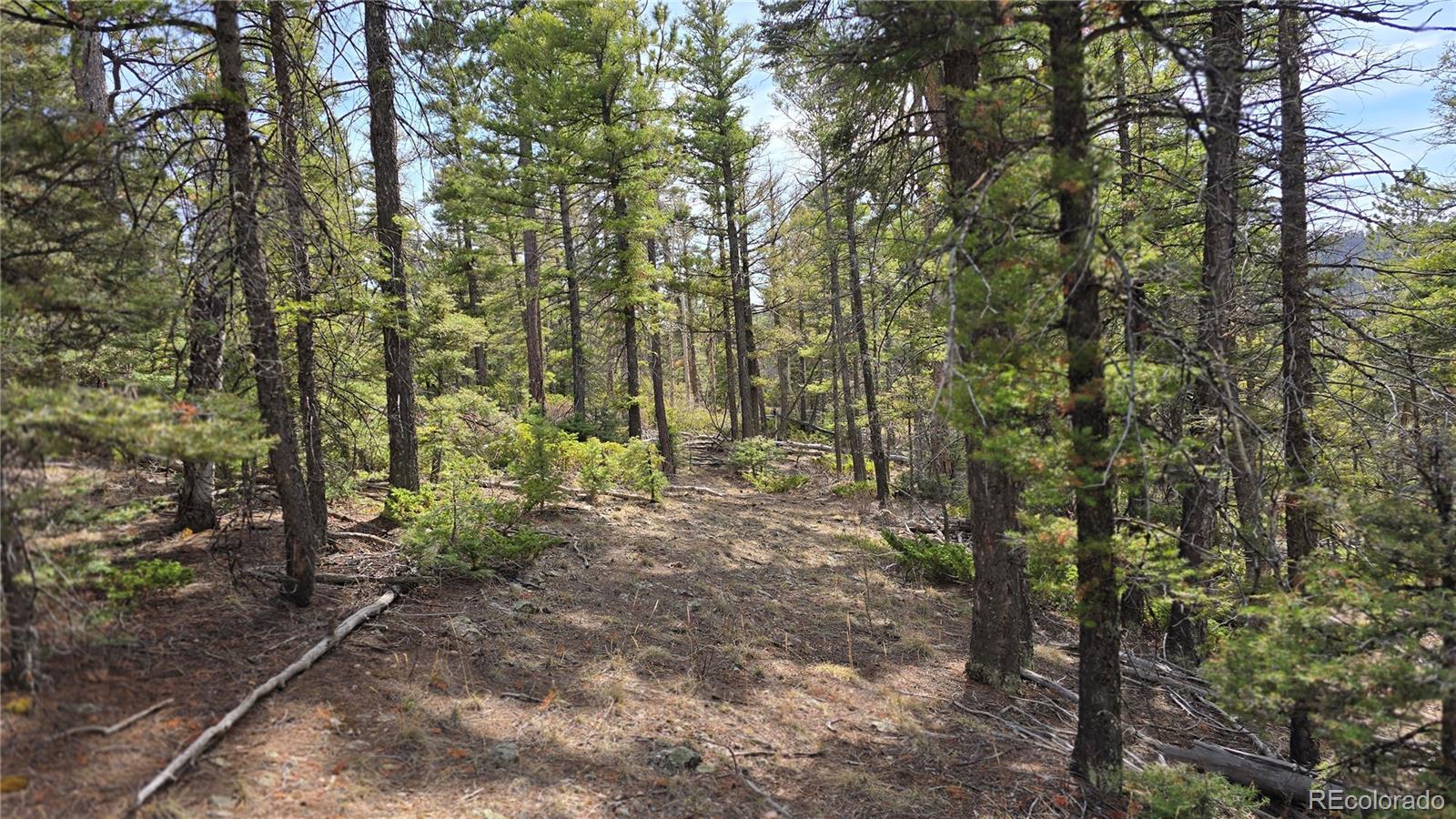 Lot 6070 Vreeland Road