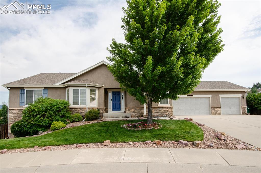Welcoming and move-in ready! This beautiful ranch with a walkout on one of the biggest lots in the neighborhood, on a cul-de-sac with big mountain views is ready for you to move in and enjoy the best of Colorado living! Everything feels fresh and new, with lots of light! The welcoming entry invites you to come feel at home in the kitchen and dining area with refinished floors, bay window, new granite counters, stainless appliances (all included), and kitchen pantry. The kitchen and dining area flows into a comfortable living room with vaulted ceiling, a cozy gas fireplace, new carpet, and a walkout to the deck that enjoys views of the large yard, pines, aspens, and Mt Herman. Step into your primary retreat, and enjoy mountain views, a beautiful 5-piece bath, and walk-in closet. The main level also includes two more large bedrooms, one of which has a full attached bath, a laundry space, and access to the large 3-car garage.  Downstairs, you'll find two more good-sized bedrooms, an attractive full bath, and a large space, plumbed for a wet bar, with walkout to the fully fenced and landscaped back yard. It's ready for you to finish however fits you best--it could easily be a big family room and two more bedrooms, or a huge family room / rec room, or whatever you dream of!  The water heater, furnace, humidifier, roof, and dishwasher all either new or upgraded recently, and the stucco and stone exterior looks great without requiring maintenance, so you can be free to enjoy lakes, parks, hiking trails, restaurants, shops, retail, and easy interstate access to Colorado Springs, Castle Rock, and Denver! Come, fall in love and make it yours!