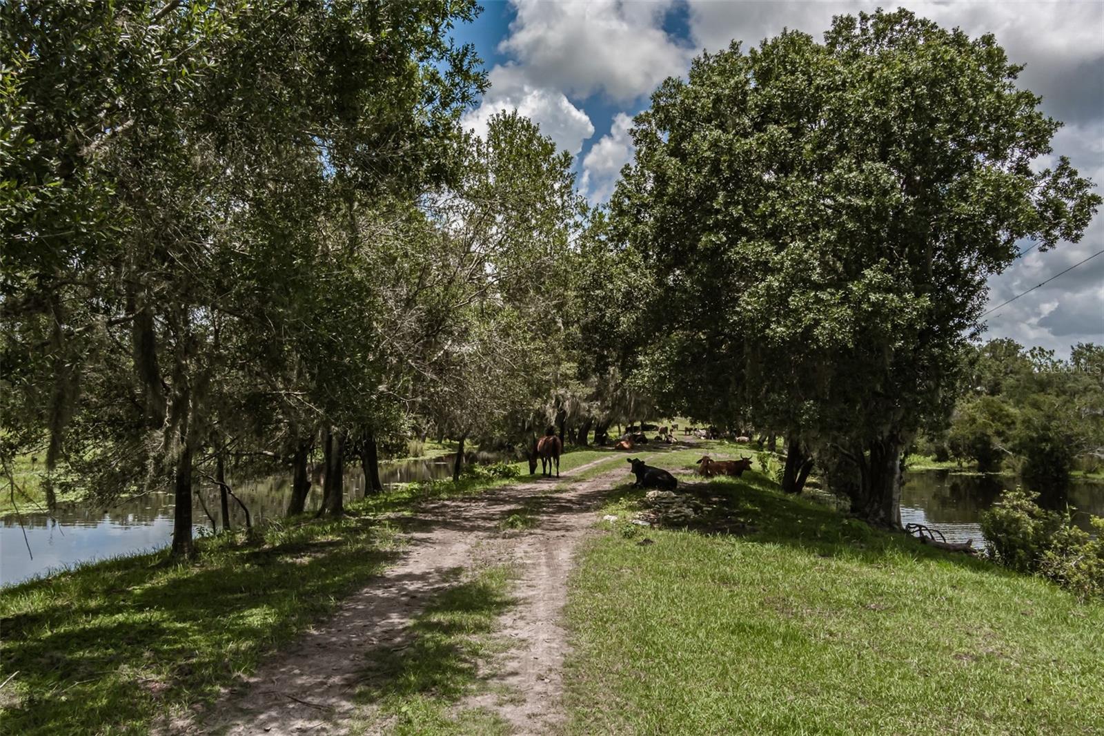 43355 Clay Gully Road