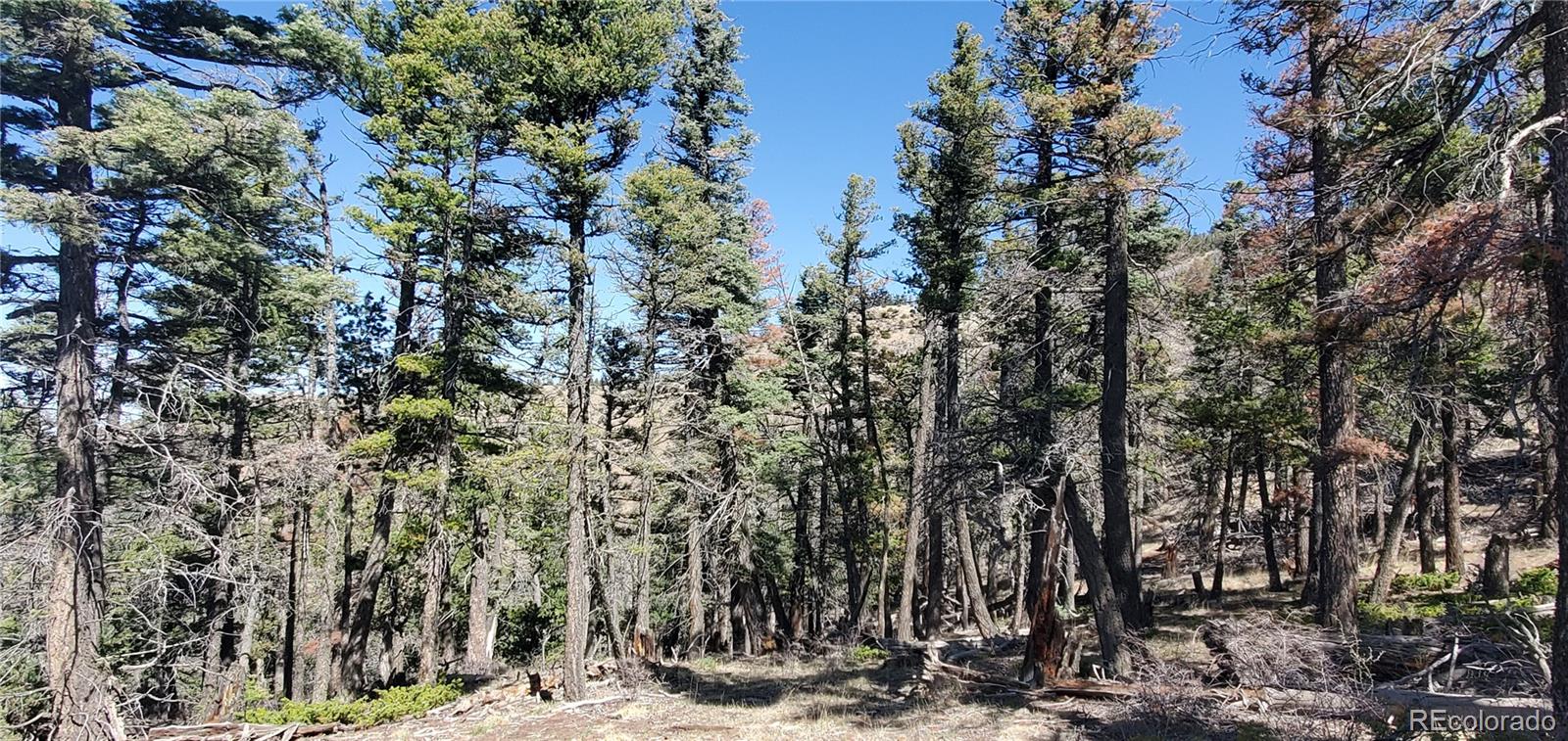 Lot 5802 Tagge Road