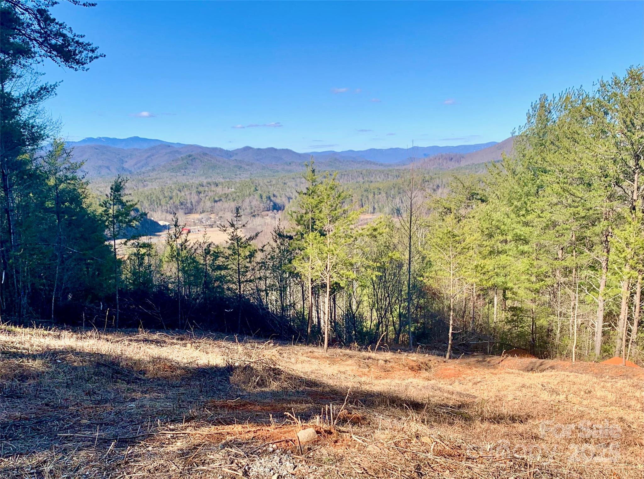 1879 Johns Ridge Parkway Lot 163