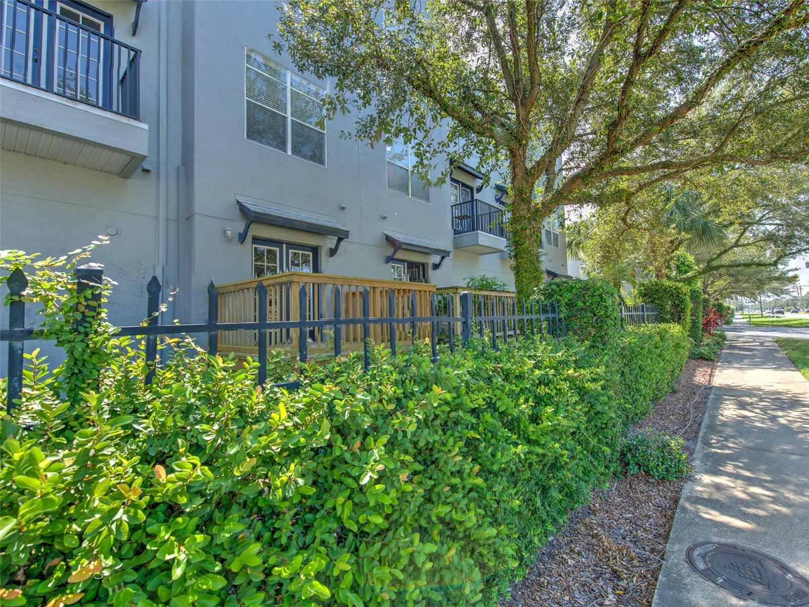 5303 Escena Ct