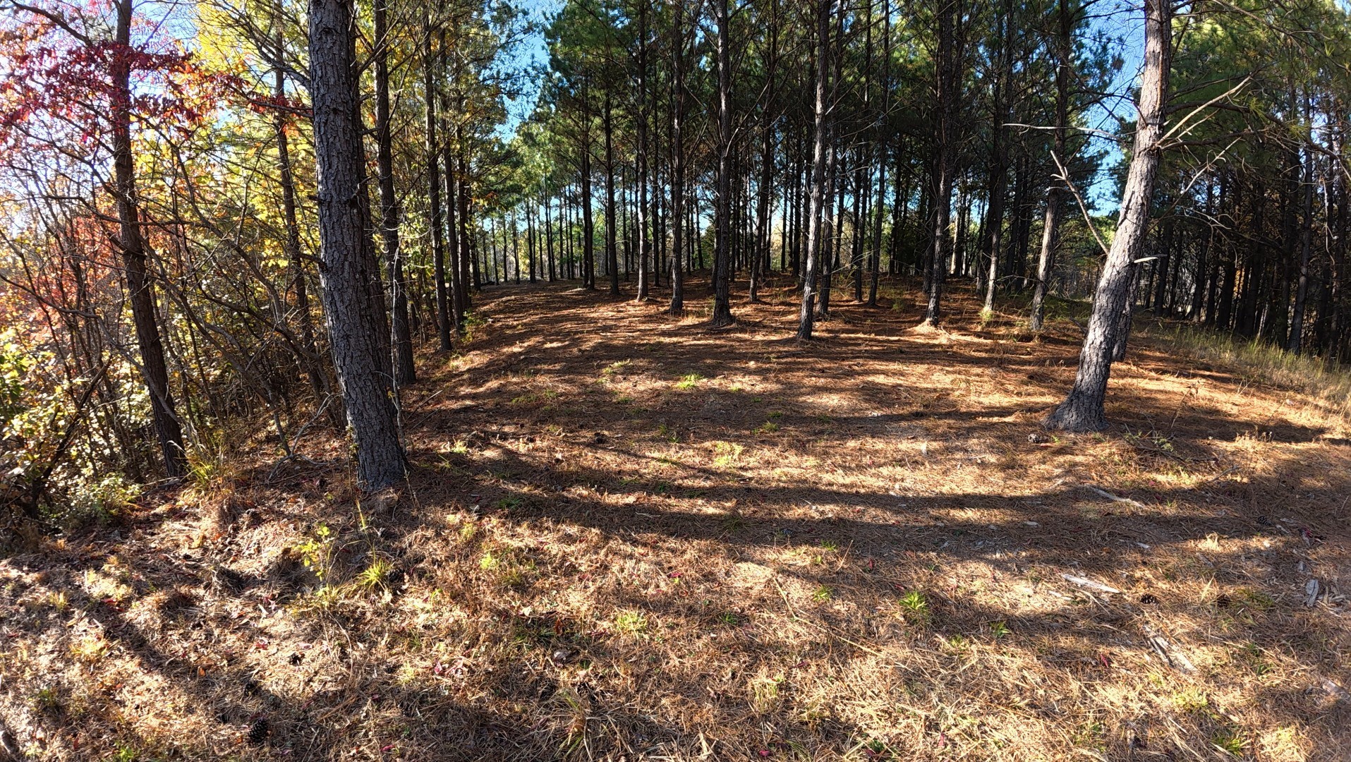 191 Vista Dr