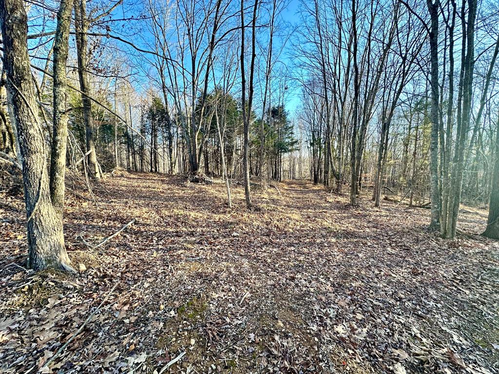 97.88 AC Hensley Cemetery Ln
