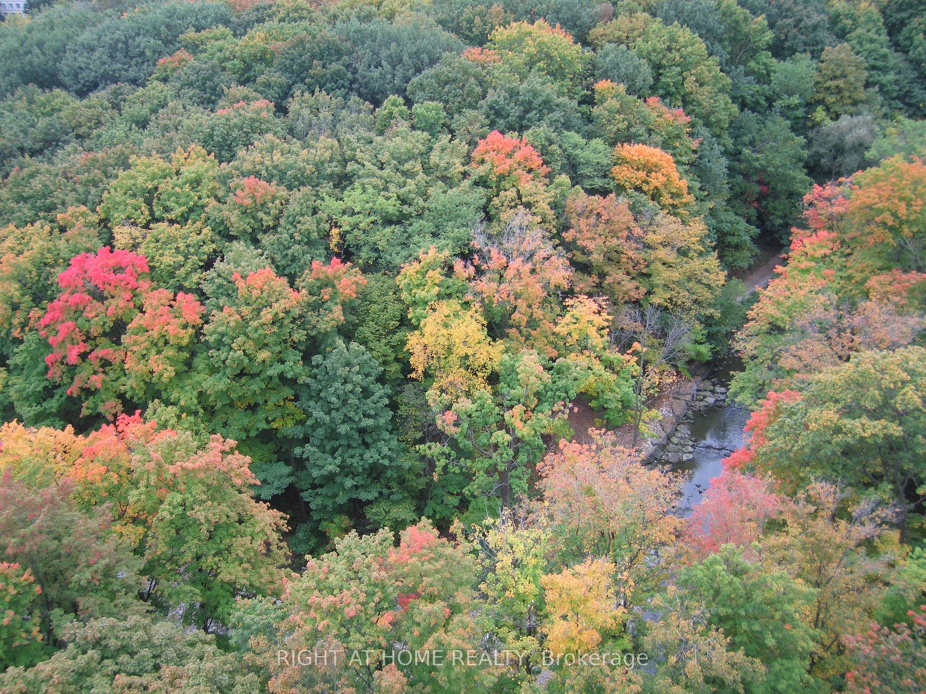 200 E Burnhamthorpe Rd 1506