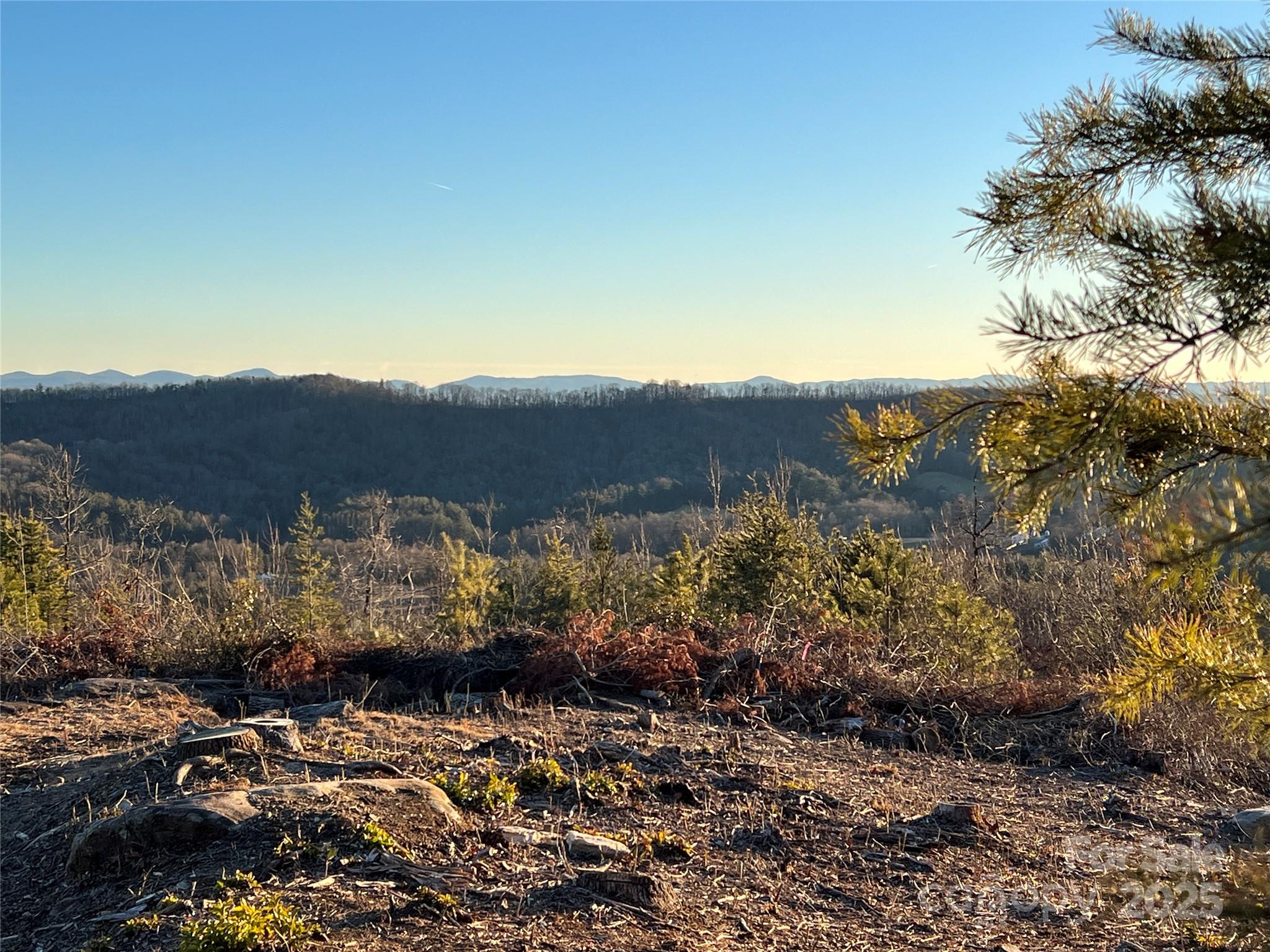 TR 14 Blackberry Ridge