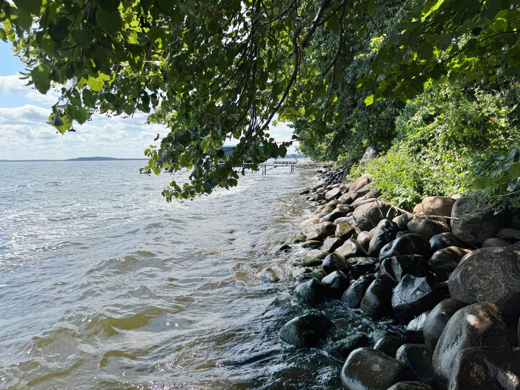 44205 Conifer Street