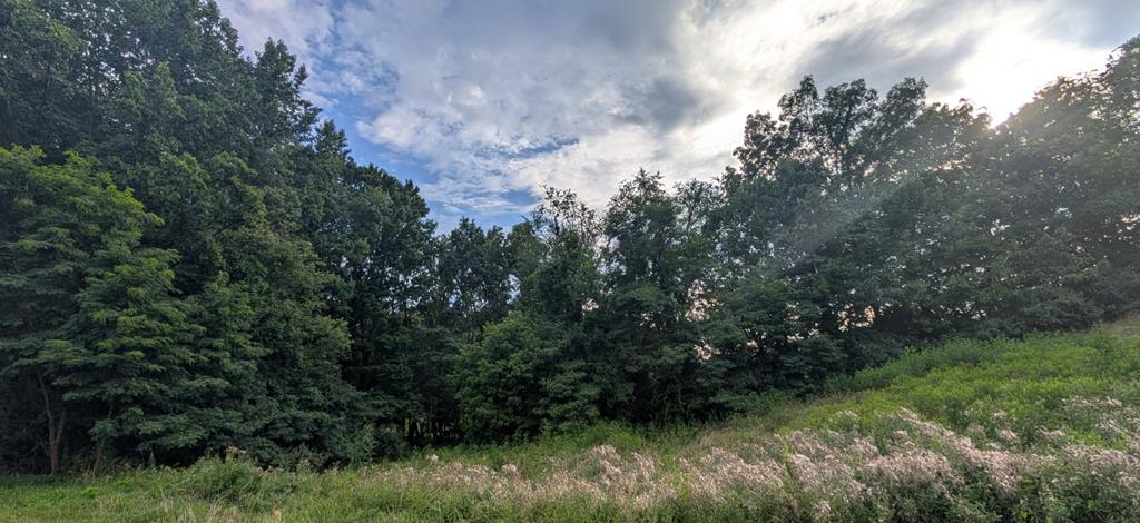 Discover the opportunity to build your dream home in Olde Trail Village, a desirable neighborhood conveniently located near the Town of Abingdon. These beautiful building lots offer a peaceful setting with a mix of cleared and wooded landscapes, while still providing easy access to shopping, dining, outdoor recreation, and Interstate 81. Enjoy the convenience of available underground utilities, including public water, sewer, and electric, along with paved county road access. Located in the highly sought-after Abingdon area, Old Trail Village offers the perfect blend of privacy and accessibility. Whether you are looking to build your forever home or invest in property, these lots provide an excellent opportunity to become part of this growing community.