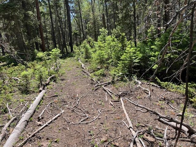 Lot 2449 Petito Drive