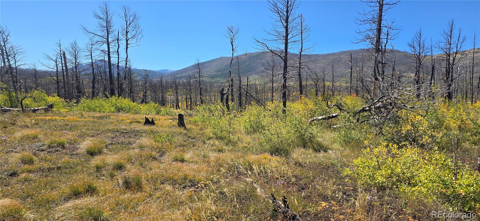 Lot 1684 Emery Loop