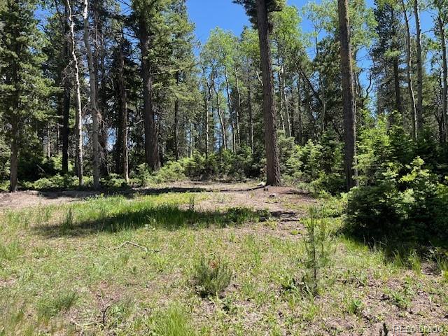 Lot 2449 Petito Drive