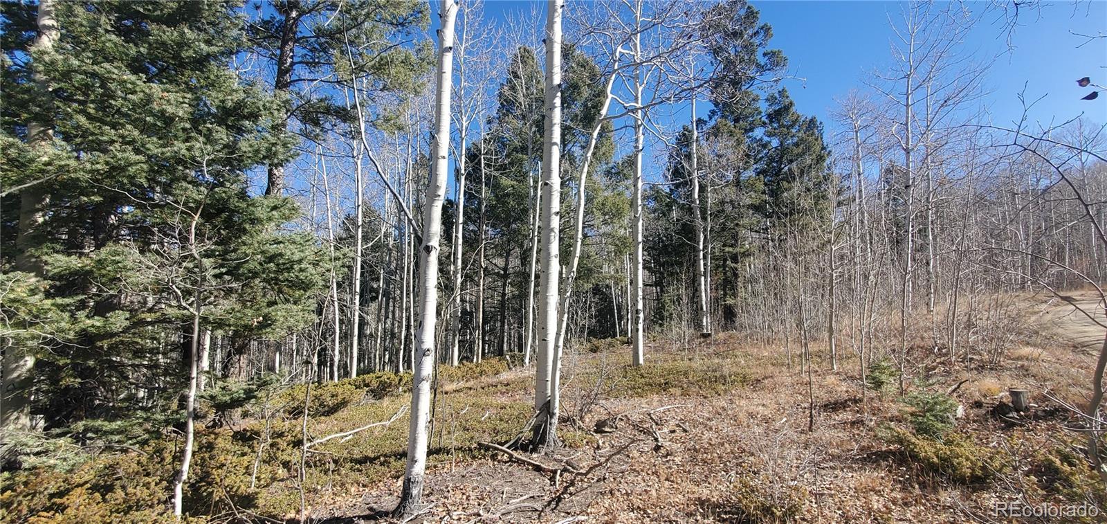 Lot 6060 Forbes Road