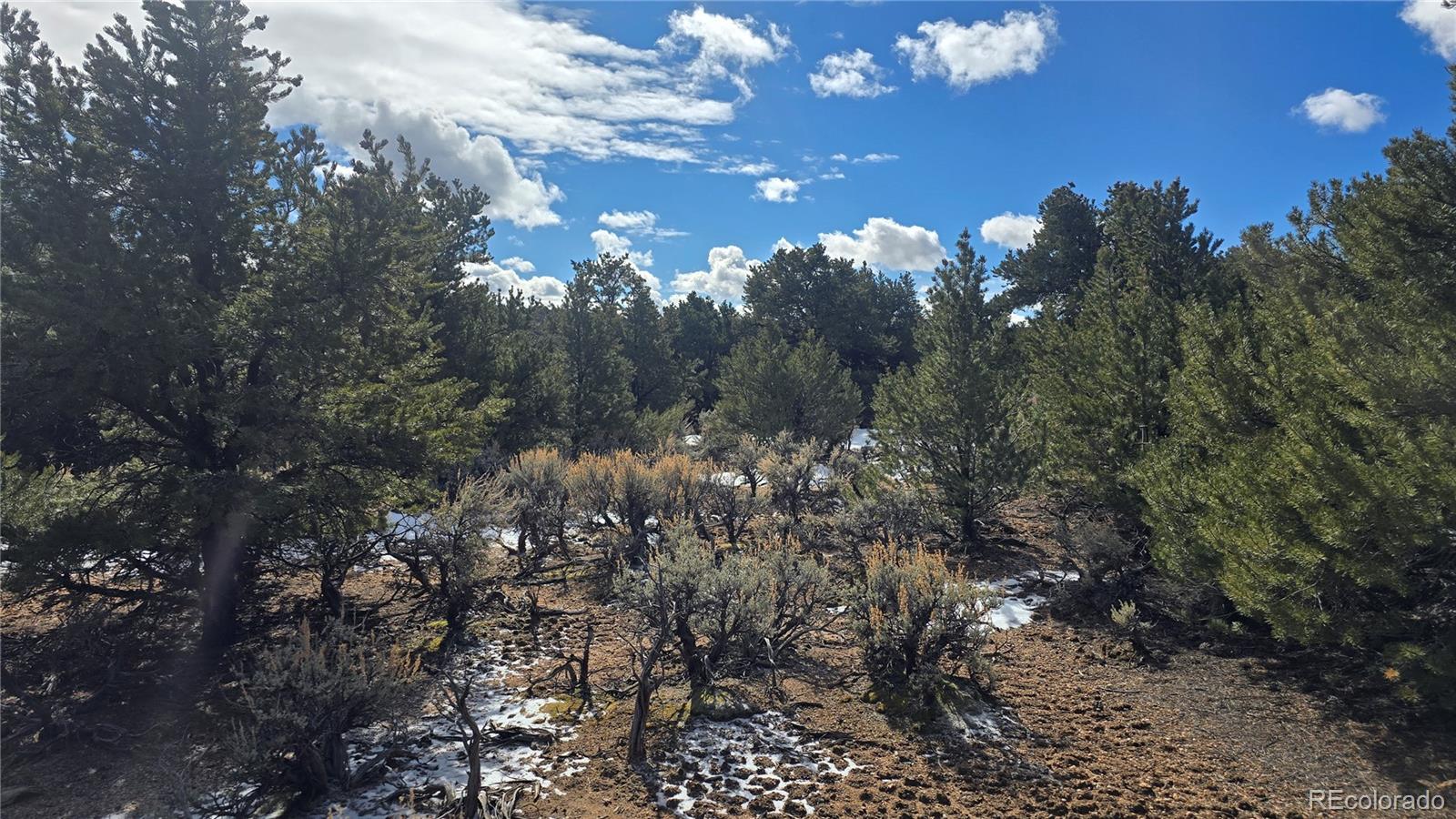 Lot 421 Sabine Road