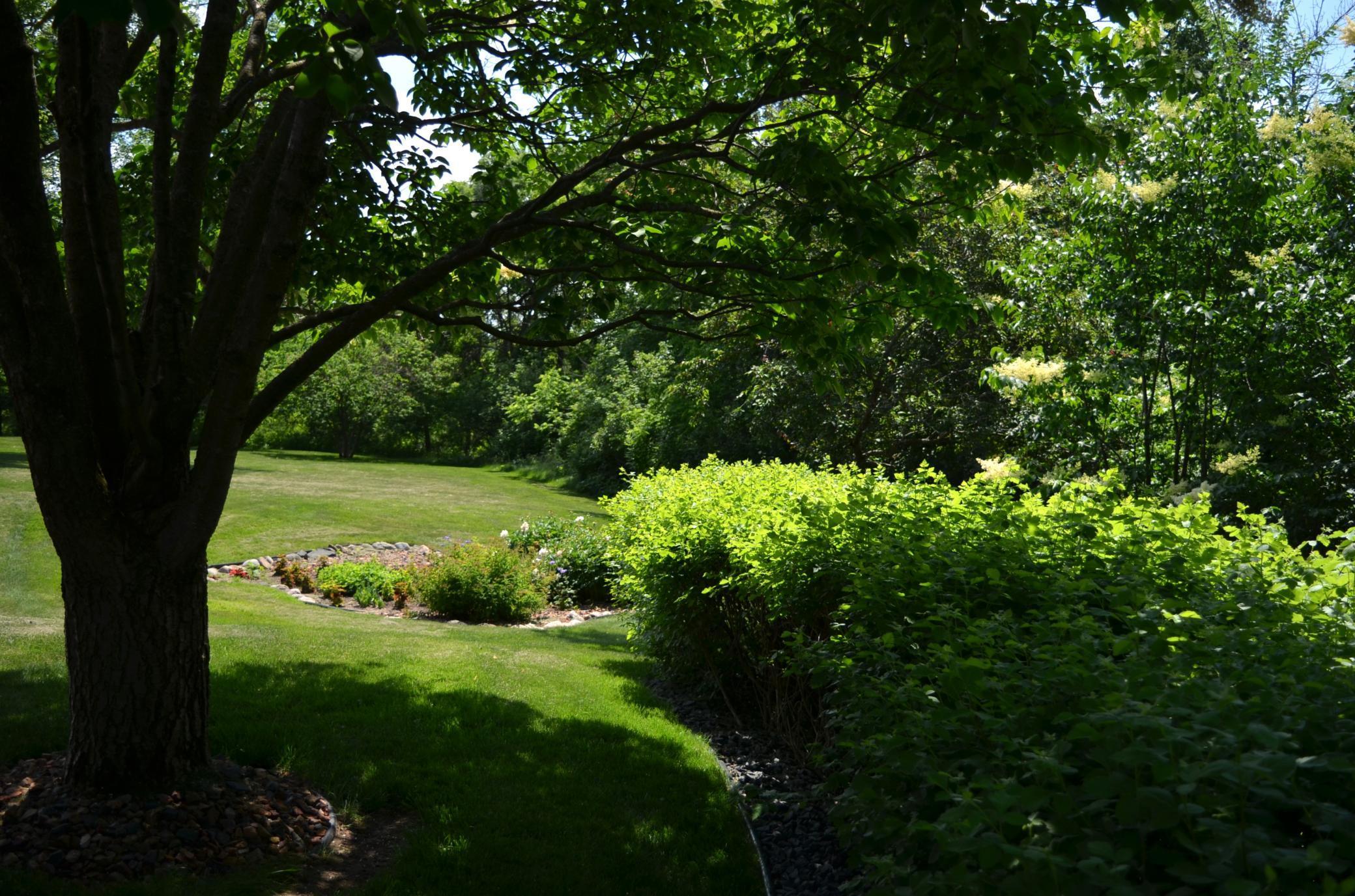 4336 Lookout Lane