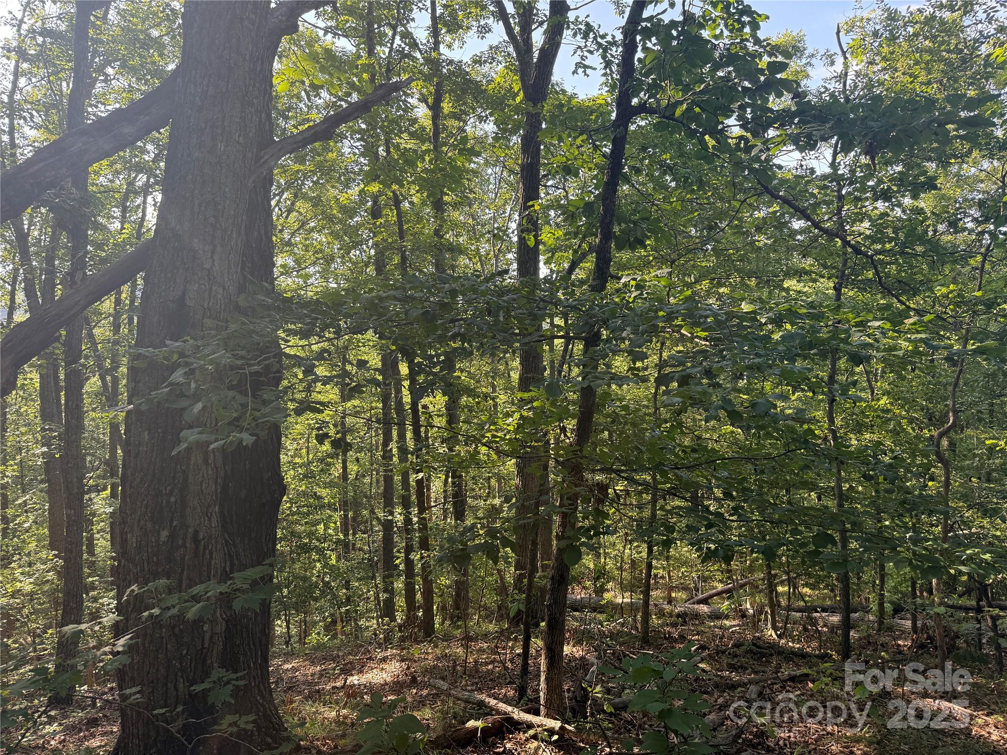 Lot 332 Scenic Vista Drive 332