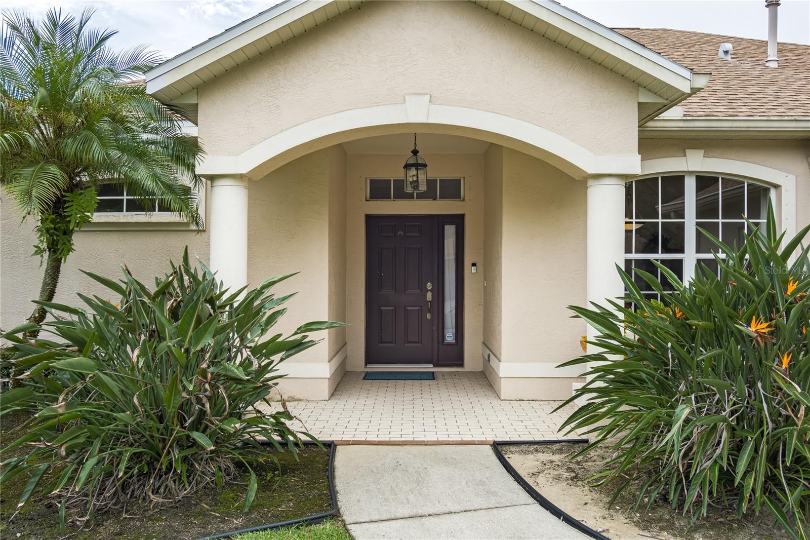 11206 Pine Lilly Place