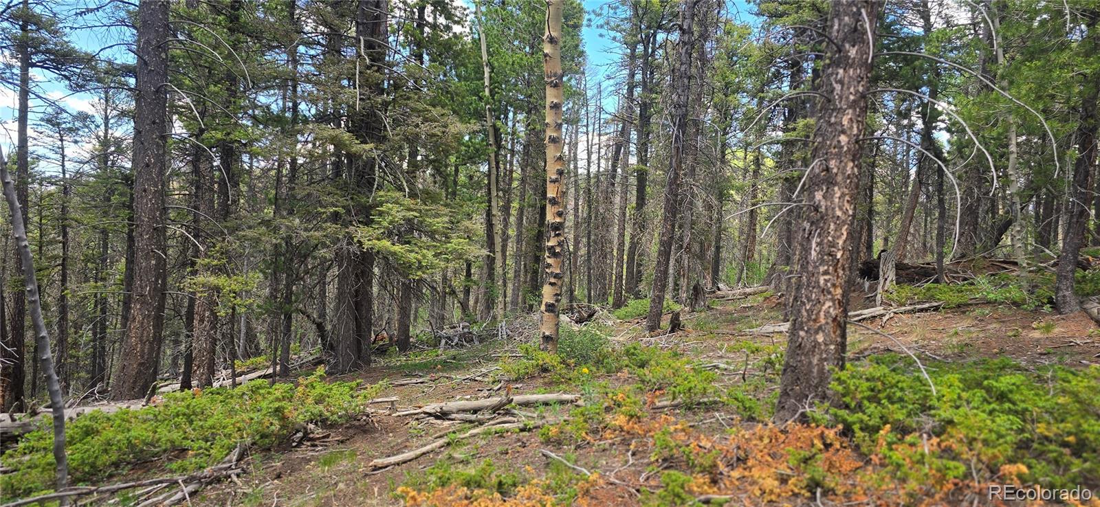 Lot 5778 Balleroy Road