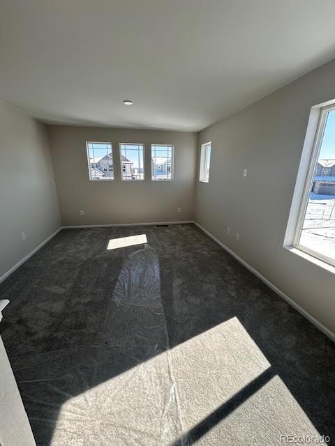 393 Grey Rock Street