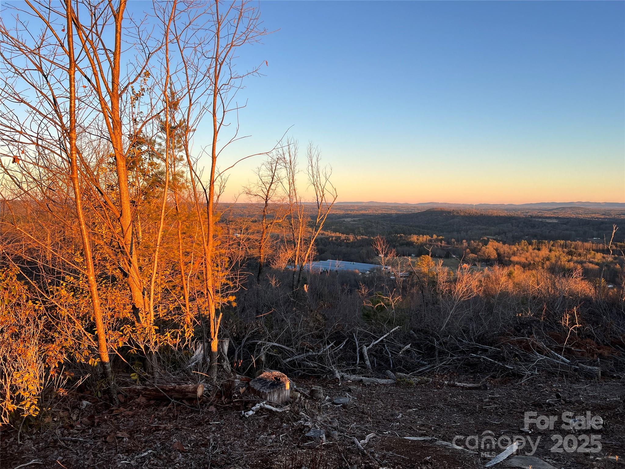 TR 14 Blackberry Ridge