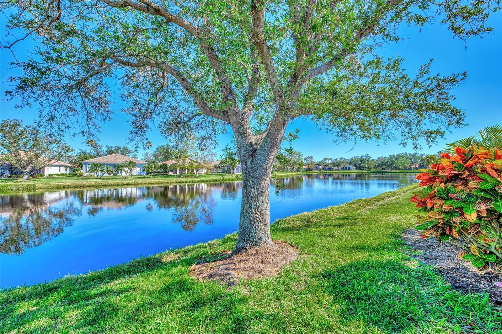 3179 Osprey Lane