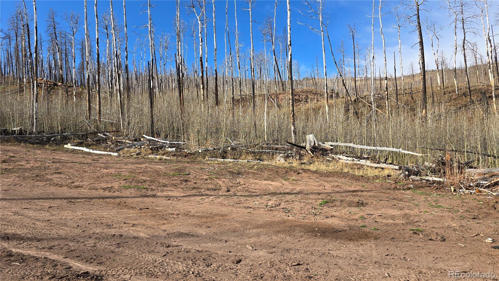Lot 880 Slaoui Place