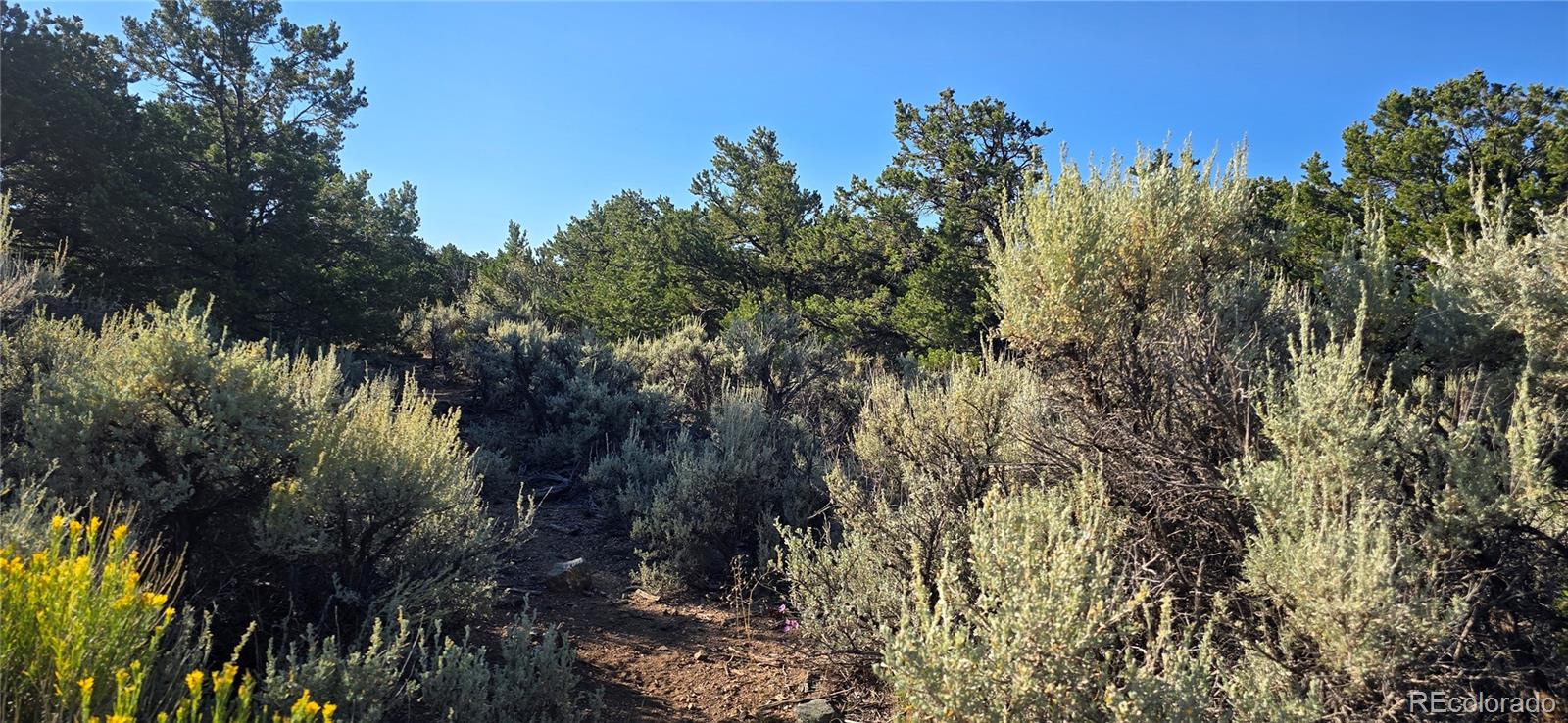 Lot 1362 Dunn Road