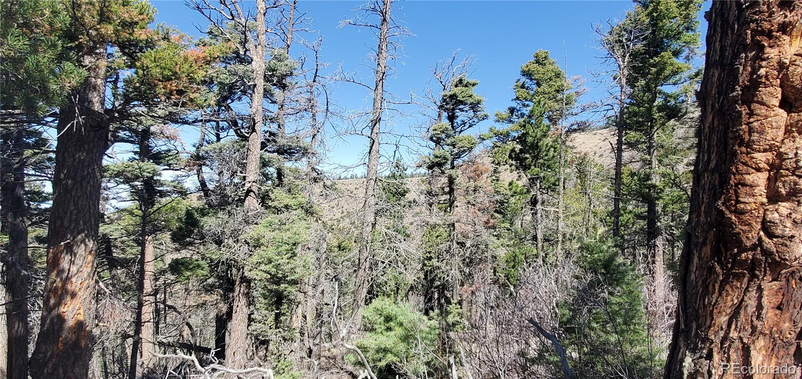 Lot 5802 Tagge Road