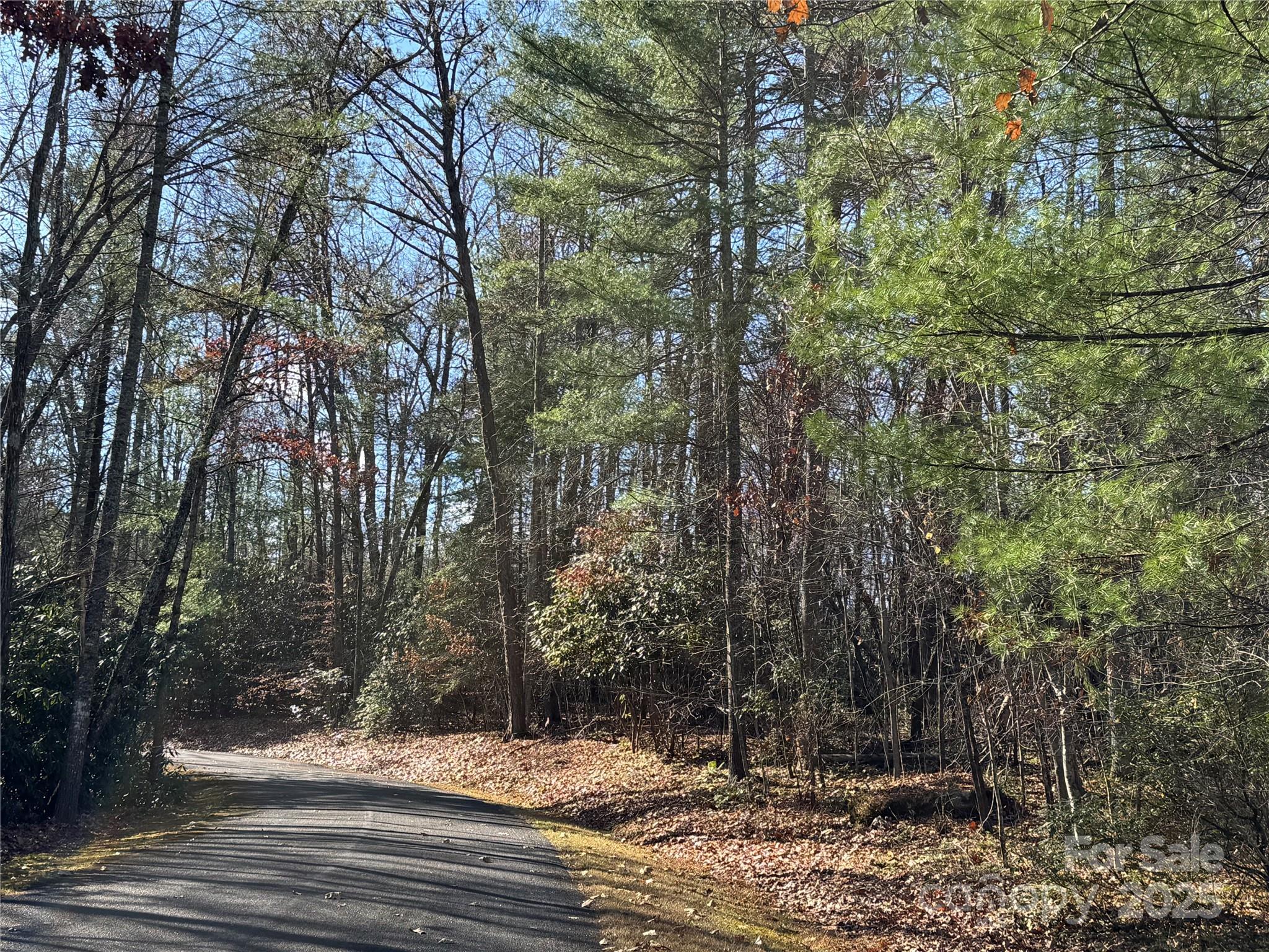 137 Nancy Ashworth Lane 13