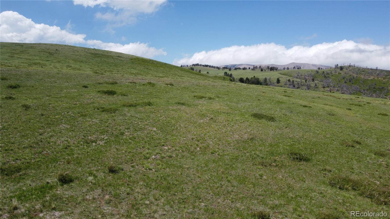 Lot 428 Powers Road