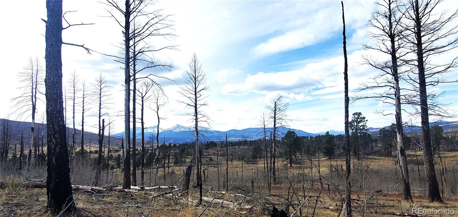 lot 1223 Emery Loop