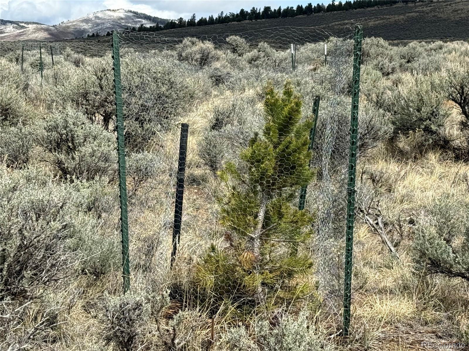 Lot 297 Boothby Lane