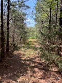 Your choice 10 or 20 ACRES available!! Sellers will keep remaining acreage.NO HOA on a Private Road. Beautiful open rolling hills for your farm and homesite. Total of 20.213 acres recently surveyed. Lots of trees, creeks, and open fields.  Conveniently located outside of Albemarle city limits in the Aquadale area of Stanly County. Property is convenient to downtown, as well as Concord and Charlotte.Sign at Property entrance (see survey/pictures showing new tract 2). Driveway easement is left of tree line follow path until you see the flags marking the start of the tract 2. Do not disturb neighbors. Appointment required. Please refer to Stanly County Planning and Zoning for confirmation of your specific intended use.