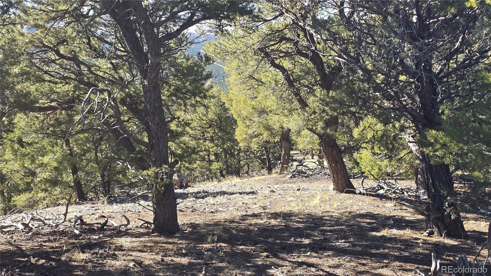 Lot 4510 Iannelli Road