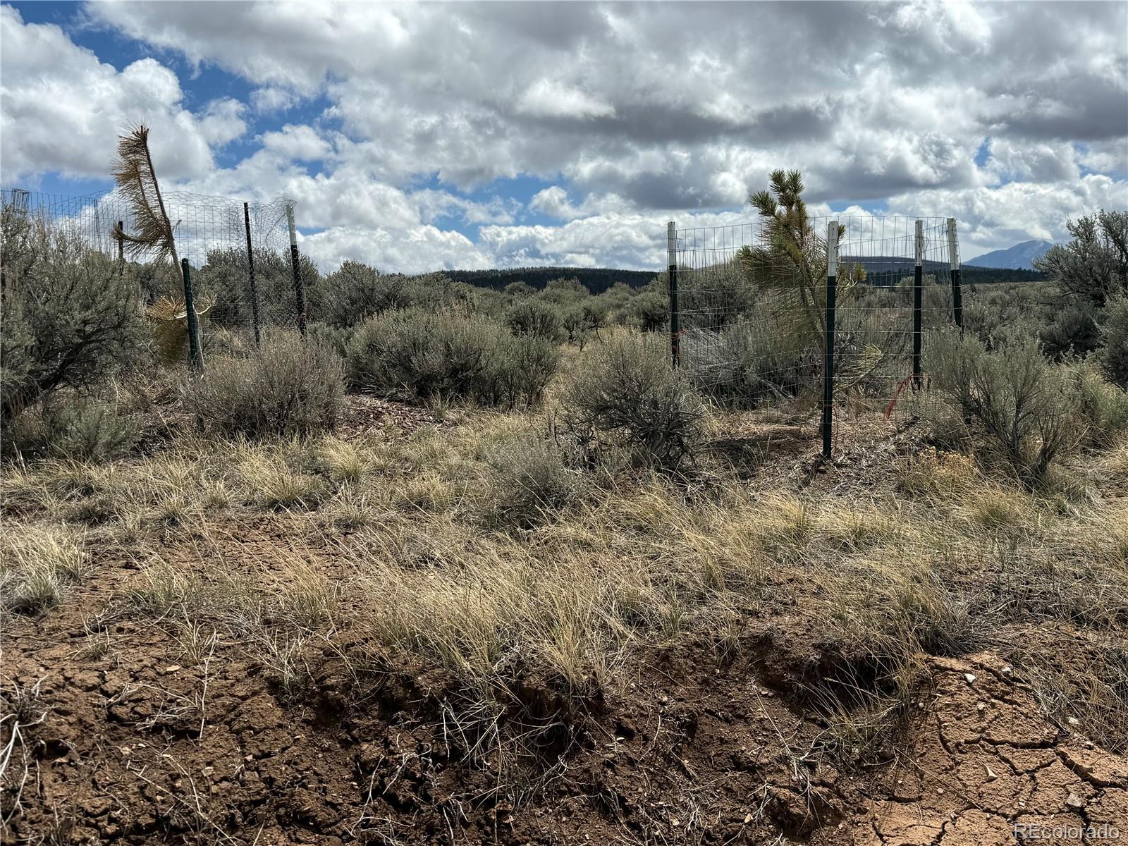 Lot 297 Boothby Lane