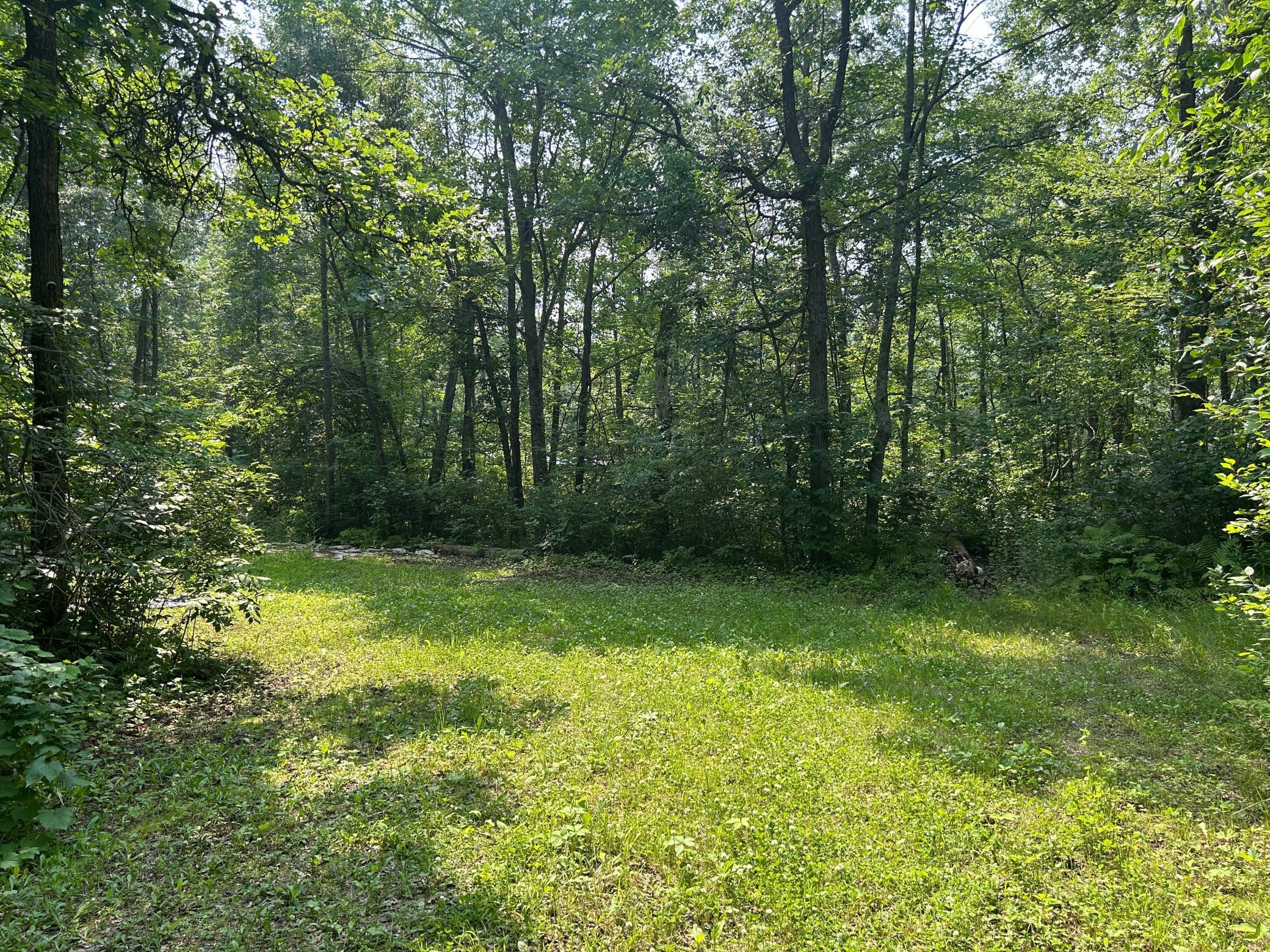 266XX Birch Trail