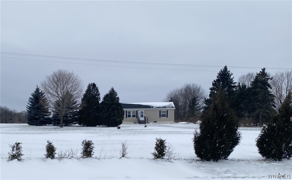 Western New York Real Estate The Rivellino Team