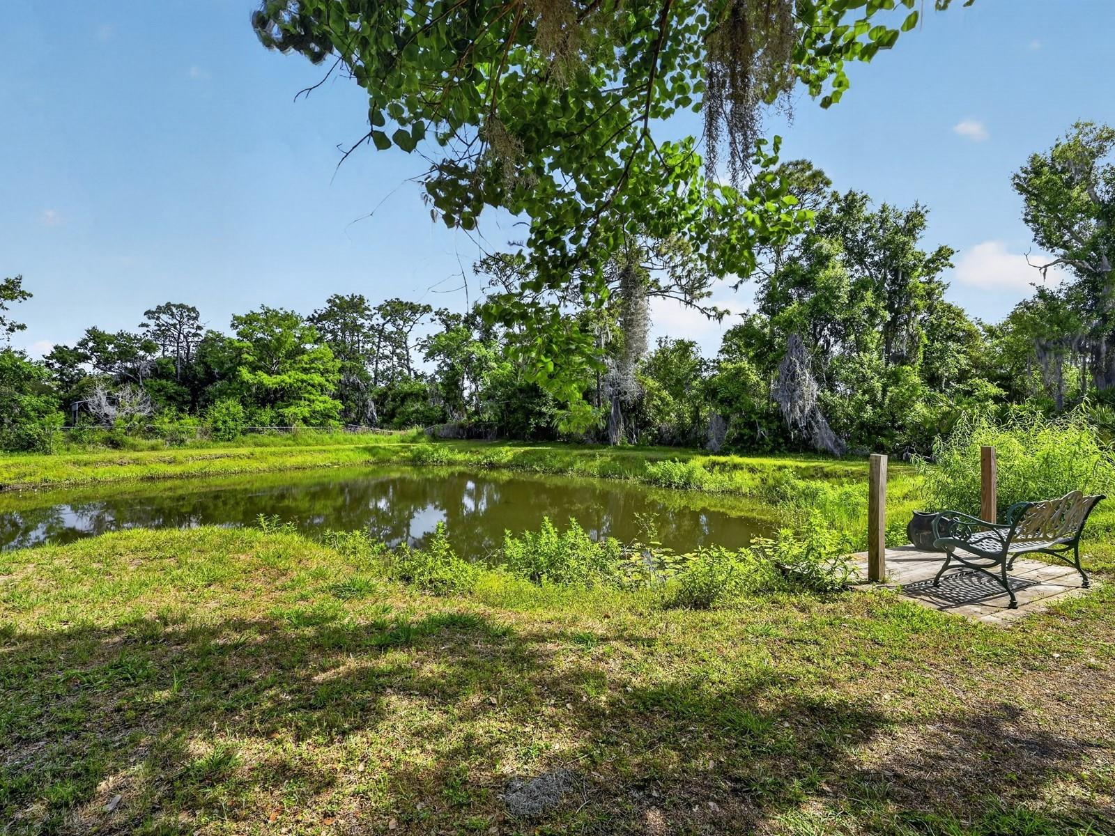 7311 Proctor Road
