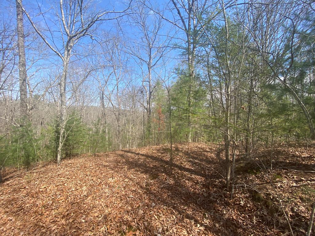 UNRESTRICTED land with expired SEPTIC PERMIT just 10 minutes from downtown Murphy with easy access and tons of potential! A circle driveway has already been cut in and while the property has grown up some, the groundwork is there and ready to be brought back to life. The terrain is not overly steep, making it usable for a variety of plans. An expired septic permit is on file. No restrictions mean you can bring your camper, RV, tiny home, or even start that mini homestead with chickens. Whether you are looking for a weekend getaway spot or future homesite, this property offers flexibility and convenience in a great location.