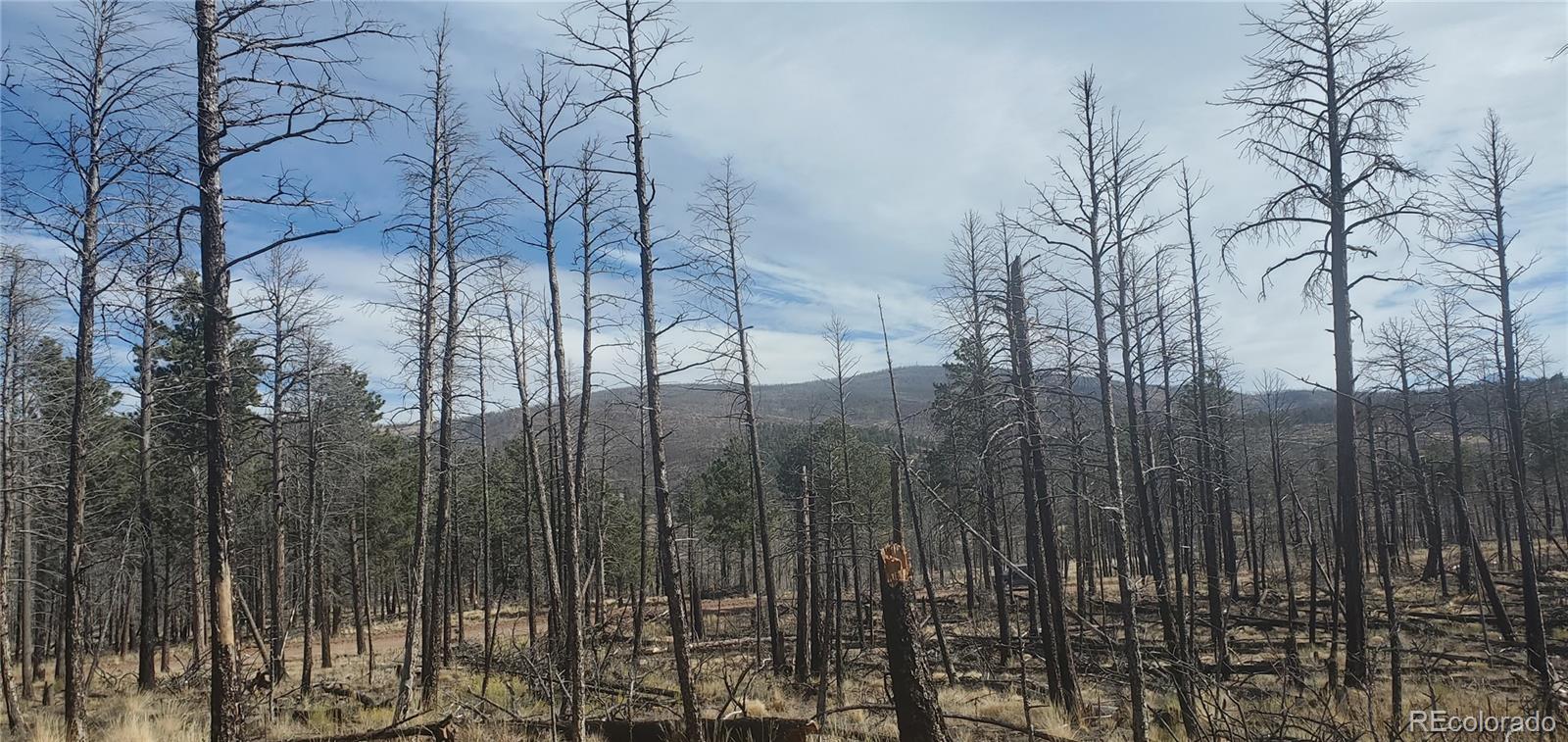 Lot 585 Leslie Loop