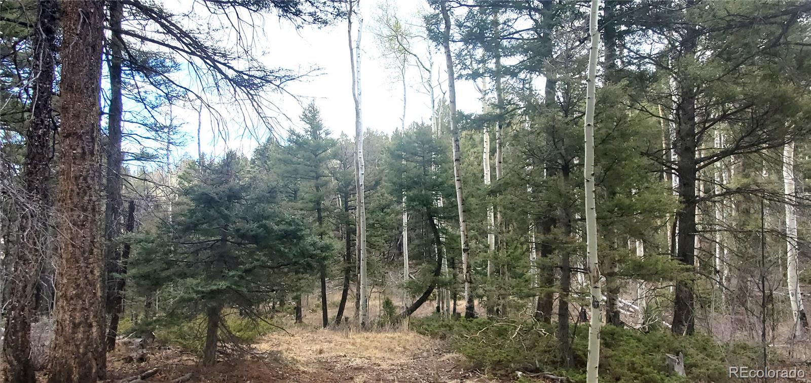 Lot 6090 Vreeland Road