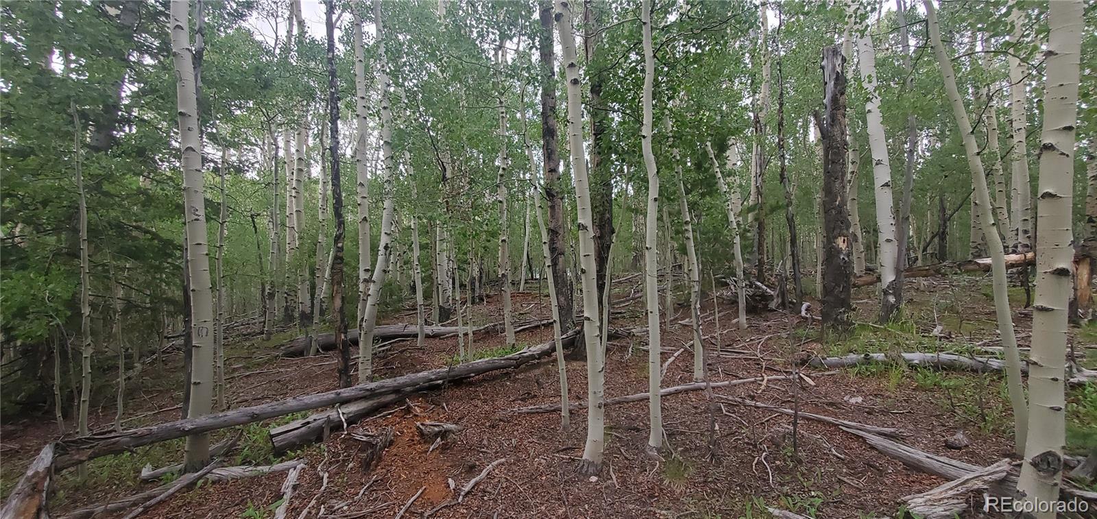 Lot 5837 Sheldon Road