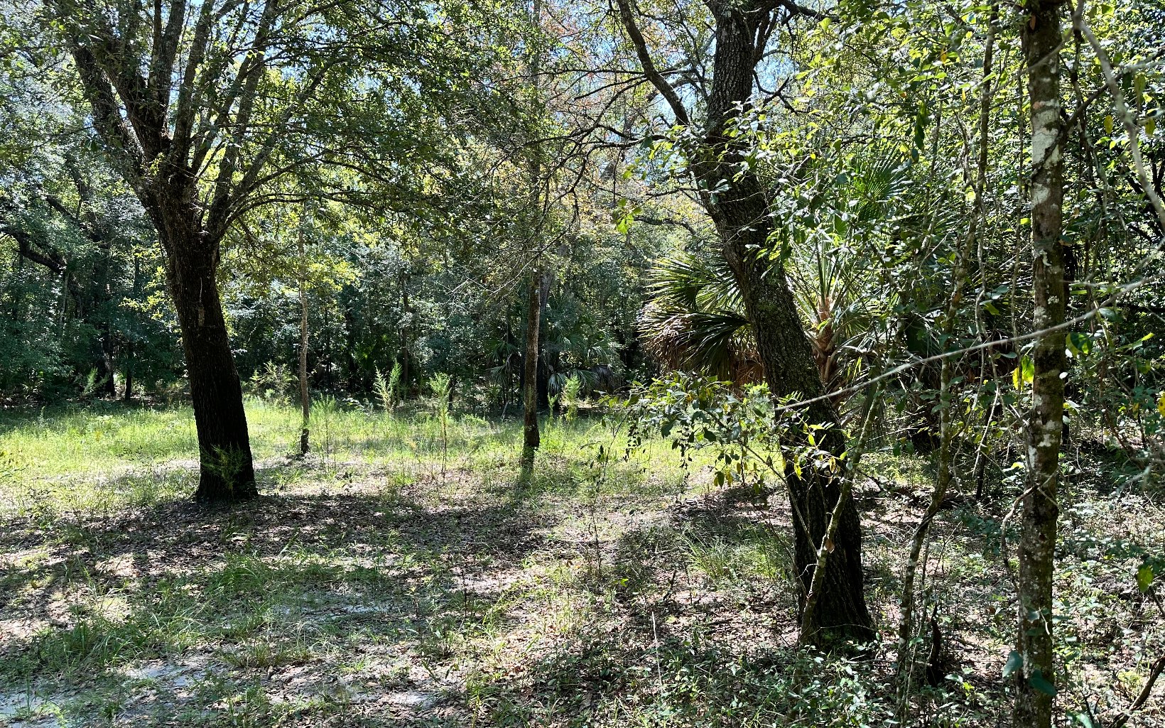Live Oak Real Estate TBD 237th Drive Parcel 1 FL 32060 85,000
