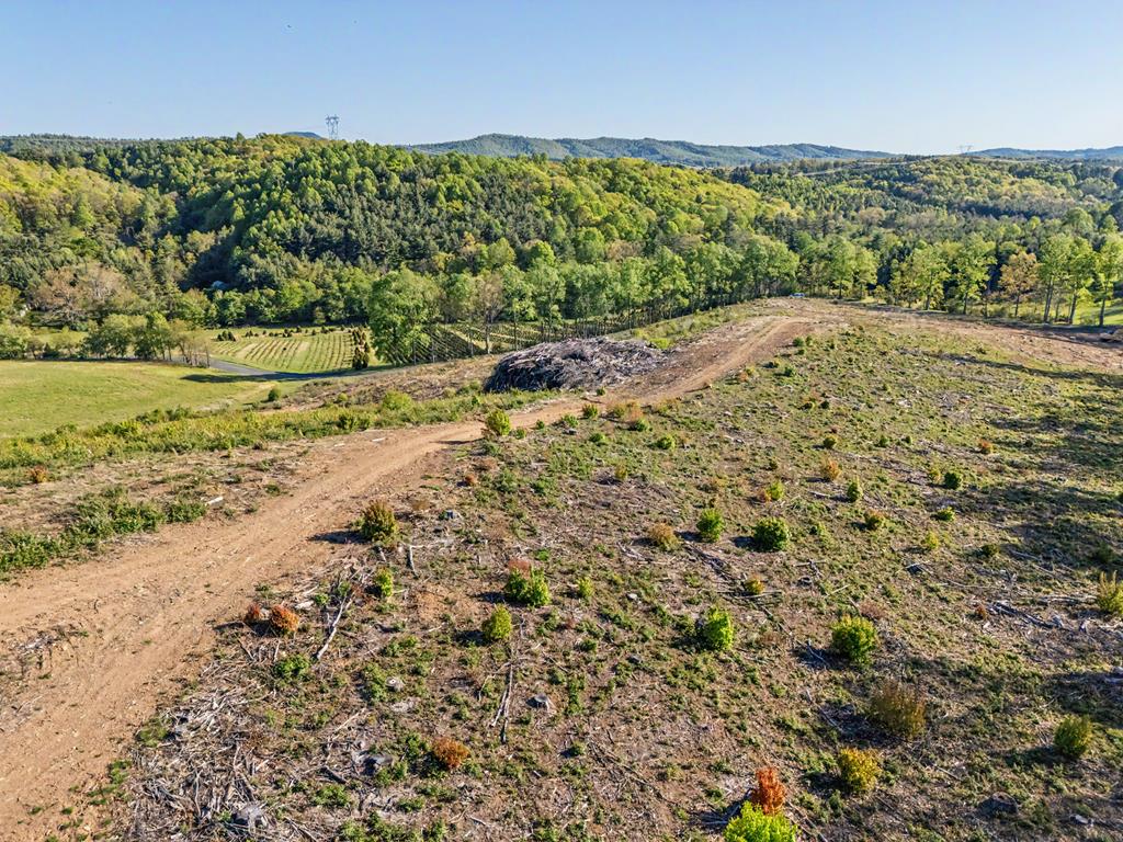 Discover the possibilities with this 26+ acre tract nestled in the beautiful mountains of Southwest Virginia. Recently cut over, this property offers a blank canvas with huge potential for your dream home, hunting retreat, recreational getaway, or future investment — all at a great price. Conveniently located near the charming towns of Floyd and Hillsville and just minutes from the scenic Blue Ridge Parkway, you'll enjoy both privacy and easy access to shopping, dining, and outdoor recreation. The property features stunning long-range views of the surrounding mountains and state-maintained road frontage for easy year-round access. If you've been searching for acreage with views, location, and opportunity, this property is ready for your vision.