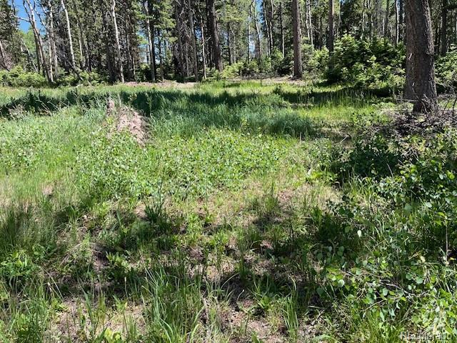 Lot 2449 Petito Drive