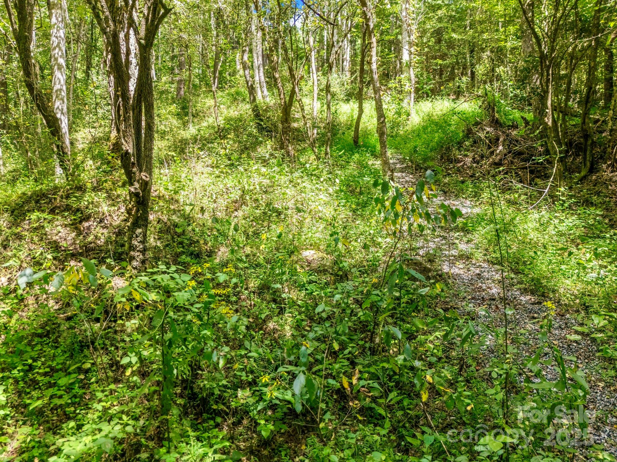 6022 Low Country Road