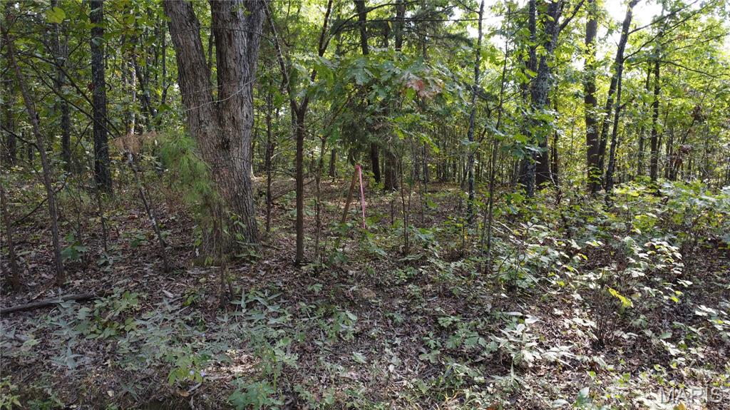 10255 Squaw Creek Rd