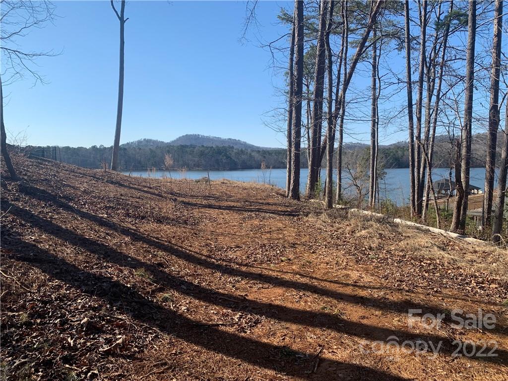Property wrapper Lake Tillery Waterfront Properties Lynn Norman, The Lake Lady Lake
